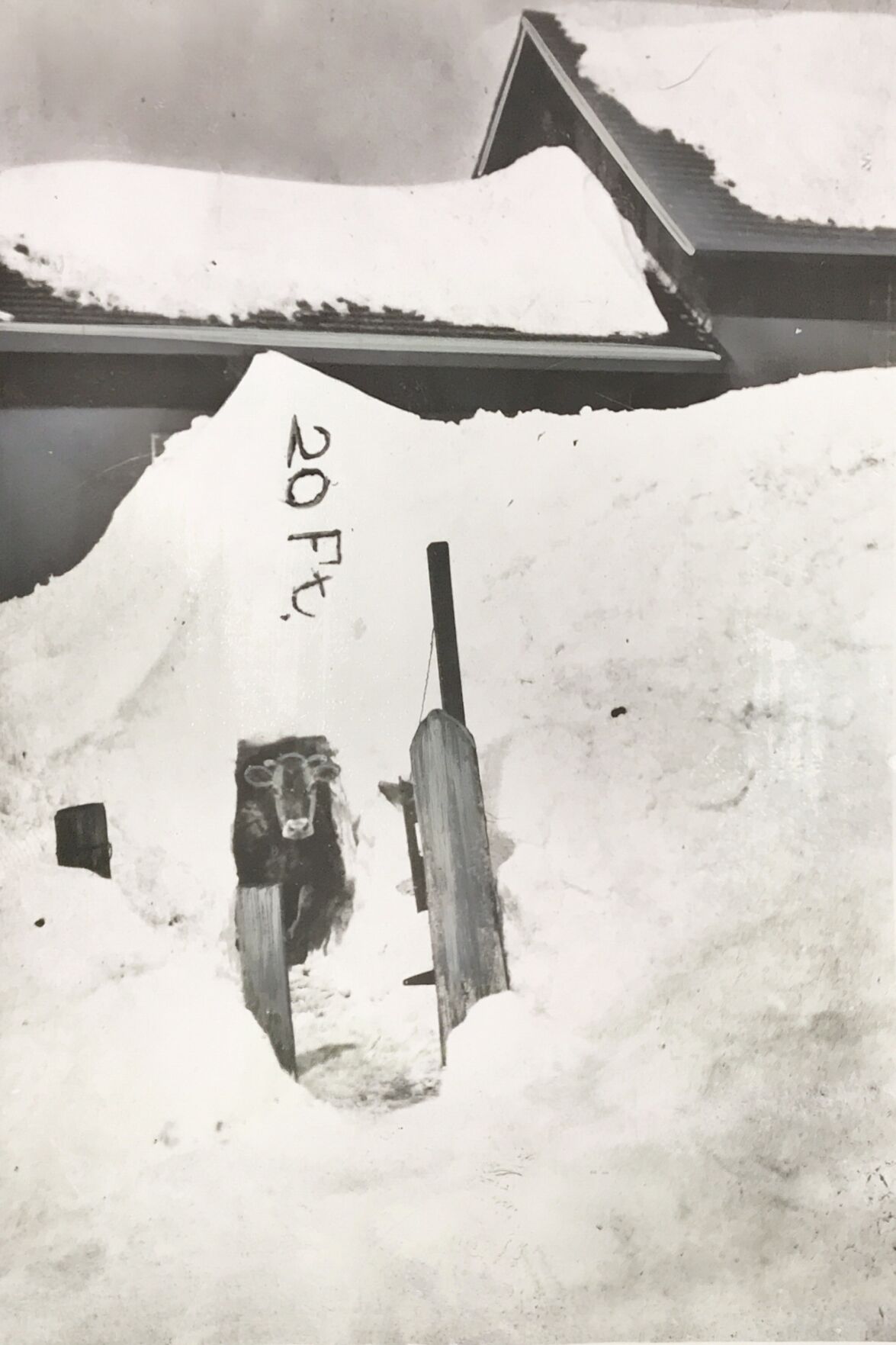 Blizzard of 1916